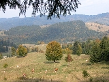 gyalogtúra, látvány, szent-anna-tó