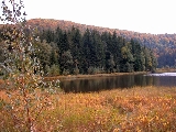 mohos-tőzegláp, gyalogtúra
