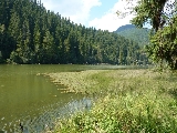 hargita, erdély, program