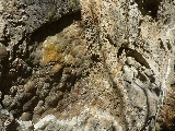 aragonit rezervátum, korond