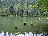 üdülés, erdélyi szabadság