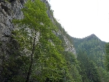 árajánlatok, szabadság, turizmus