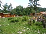 de inchiriat, cazare, program