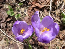 erdélyi vakáció, programok, kedvezmény