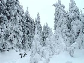 szilveszter, hargita, panzió