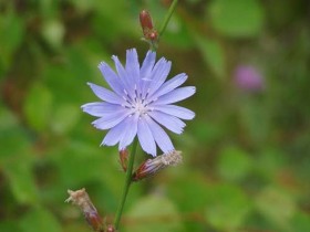 erdély, program ajánló, fotó album