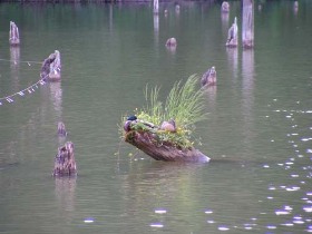 gyilkos-tó, programok, gyalogtúra